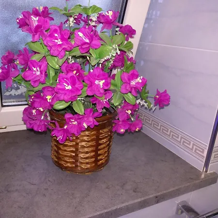 Conte - S. Angelo Bay 3*